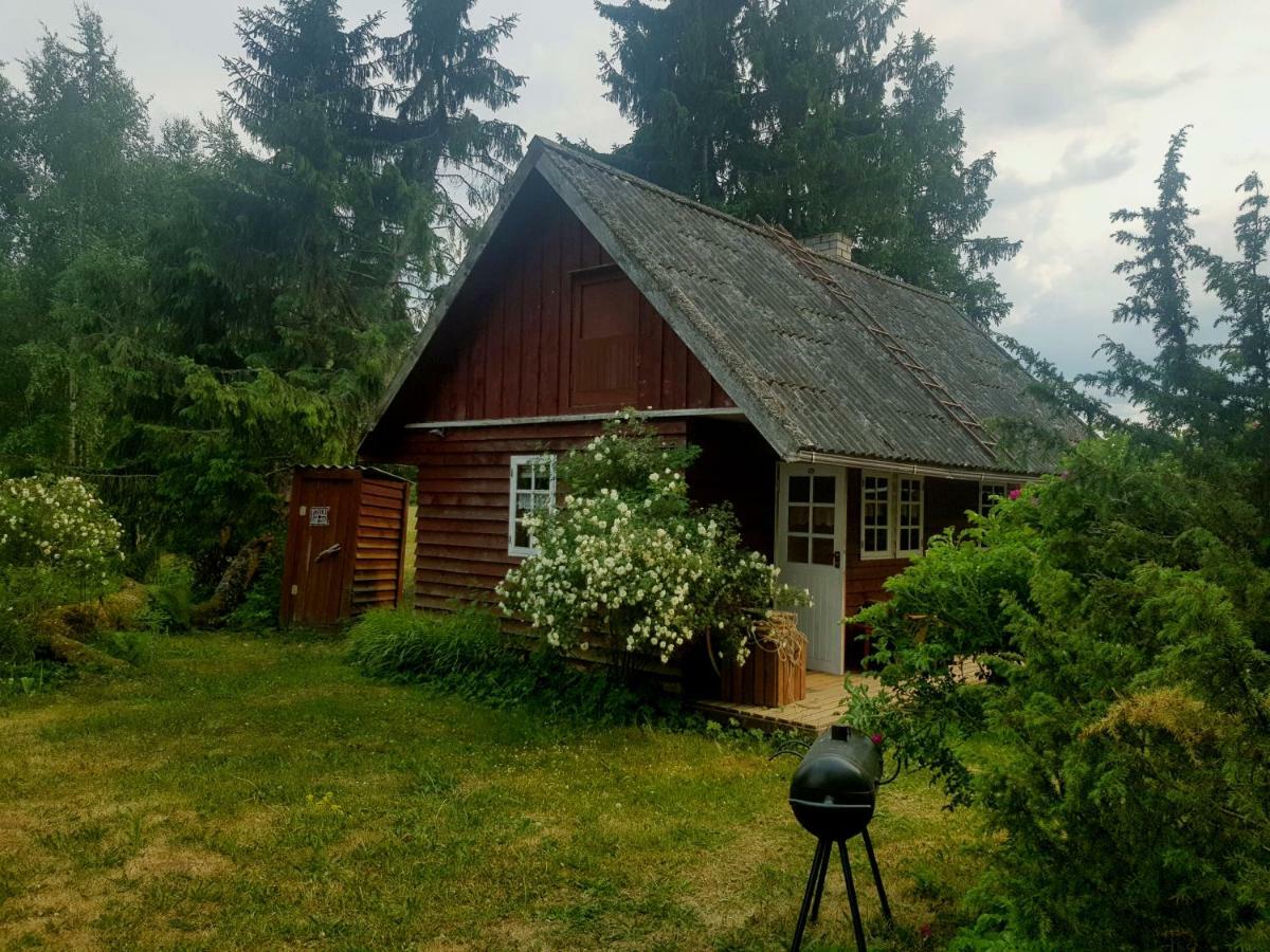 Kakuvalja Guest House With Sauna 撒加迪 外观 照片